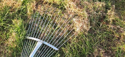 How to Dethatch Your Lawn | DoItYourself.com