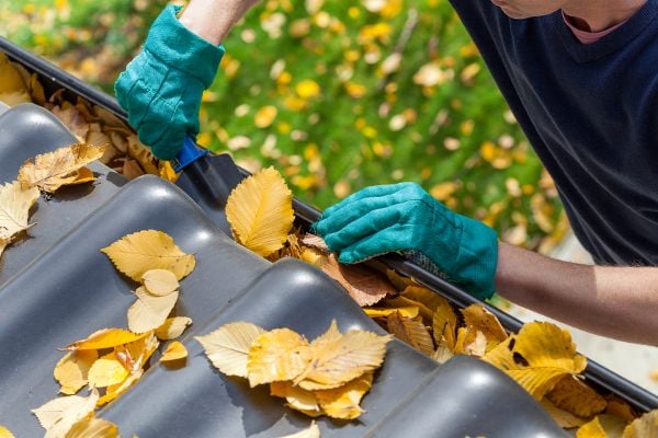 Cleaning leaves out of a gutter. 