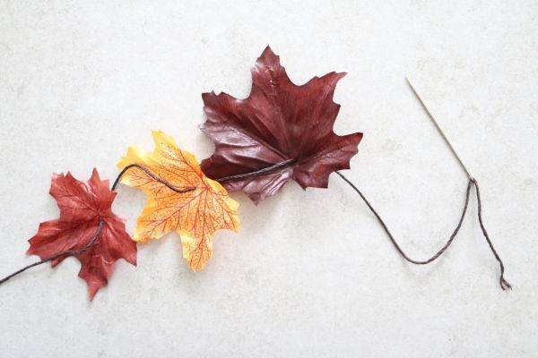 Multiple leaves on a cord.