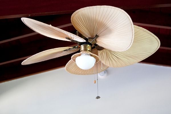 A tropical ceiling fan. 