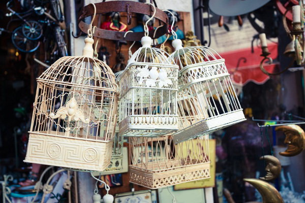 Group of birdcages at a market