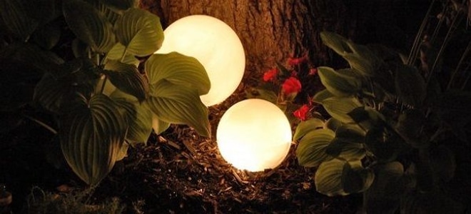 glowing orbs in garden