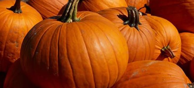 pumpkin-carving-tips-and-tricks-doityourself
