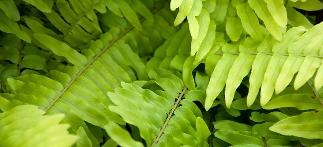Lead Image