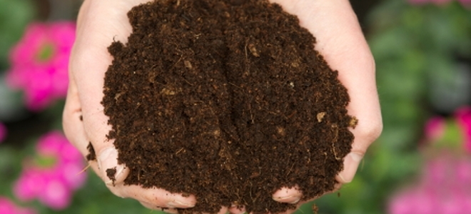 Making Potting Soil Mix: Three Tips