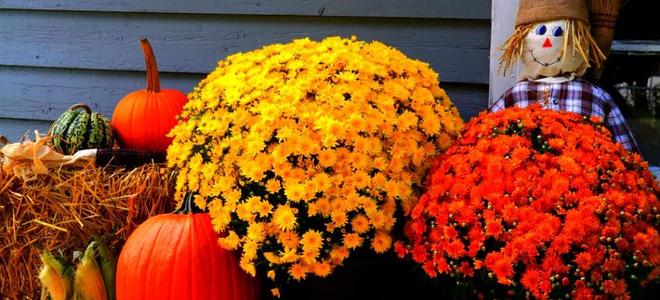 Fall Yard Decorations Decorate Your Yard for Autumn DoItYourself com