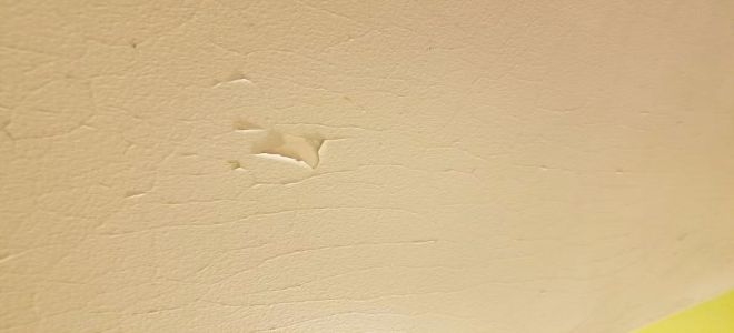 Hot Topics Shower Ceiling Paint Cracking And Peeling