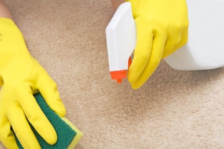 carpet removal odor cleaning mildew doityourself