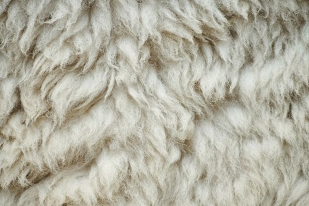 texture wool sheep rug fluffy skin shedding flat natural area raw sheepskin prevent doityourself hair clean animal abstract
