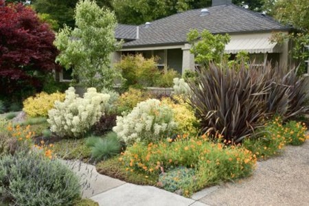 An Introduction to Xeriscaping | DoItYourself.com