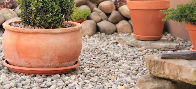 How to Design a Rock Garden | DoItYourself.com