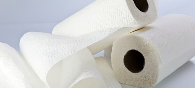 Paper towel rolls