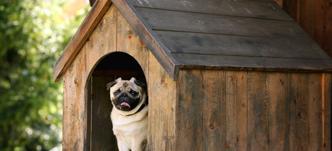 DIY Wooden Dog Crate (Hamptons Style)