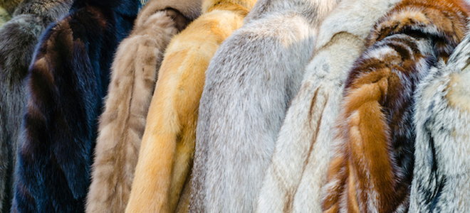 How to Clean a Natural Fur Coat