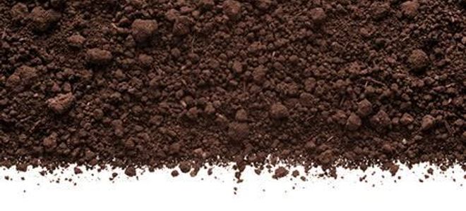 humus soil definition for kids