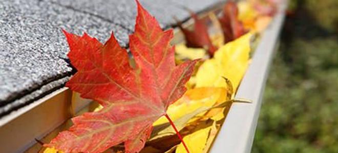 Rain Gutter full of leaves