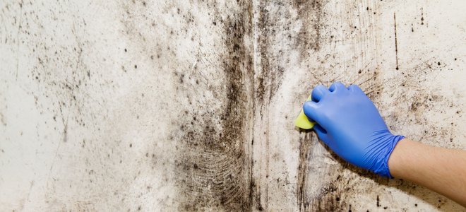 A woman cleans basement mold.