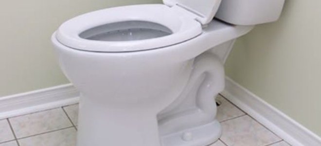 toilet