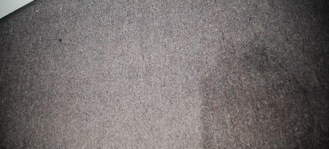 How to Remove a Water Stain: Carpet | DoItYourself.com