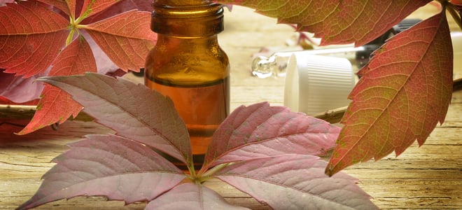 Fall leaves with an essential oil bottle. 