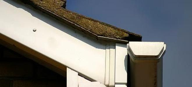 The corner of a roof, with shingles, gutter, and eaves visible.