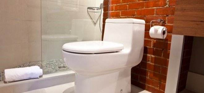 toilet