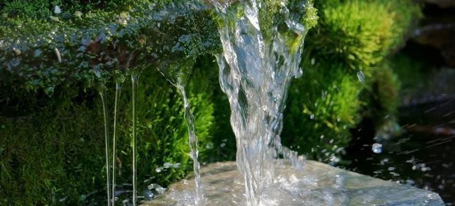 A close-up image of water flowing off of moss-covered rocks.