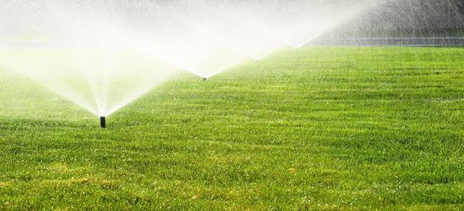 Sprinklers on a lawn. 