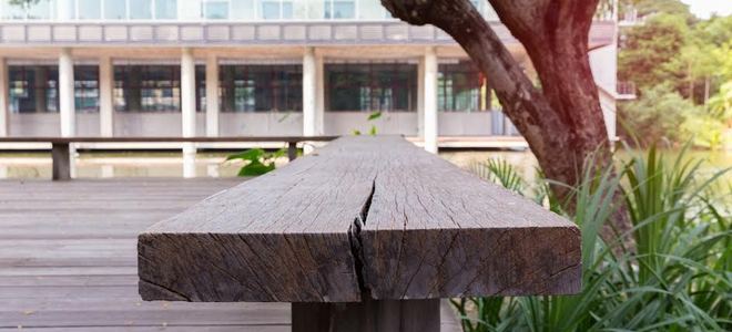 The profile of a rustic wood bench next to a tree.