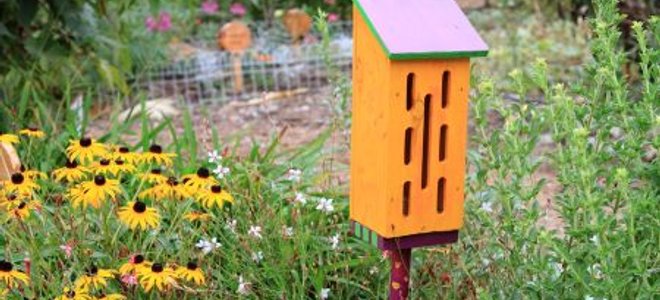 Diy Butterfly House In 5 Steps Doityourself Com