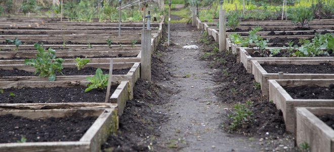 Raised garden beds.