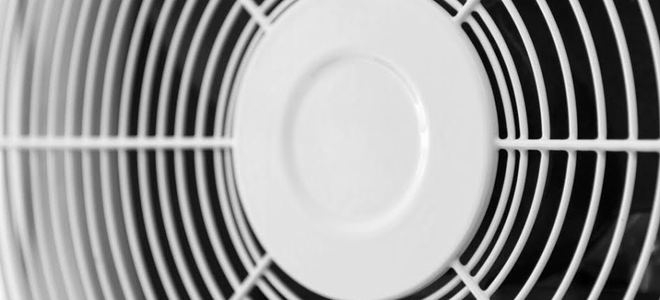 A fan.