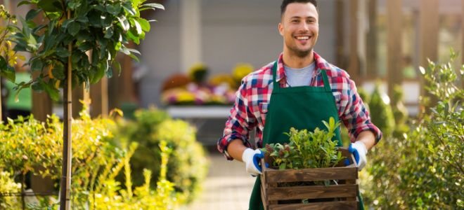 smiling man holding plants in a box at a garden center