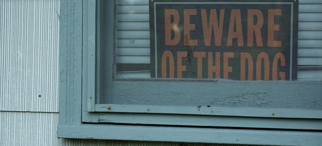 A sign in a window with the words &lsquo;Beware of dog&rsquo; on it.