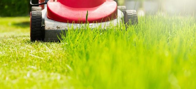 How to Mow Your Lawn Like a Pro | DoItYourself.com