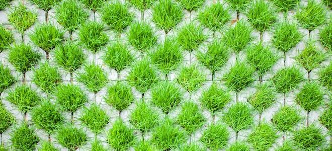 A close-up of a grasscrete driveway.