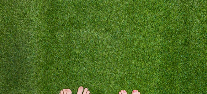 Three feet on a green lawn