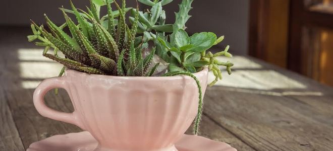 DIY Ceramic Tea Cup Planters - 6 Pc.