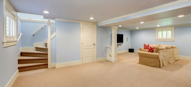 basement with carpet