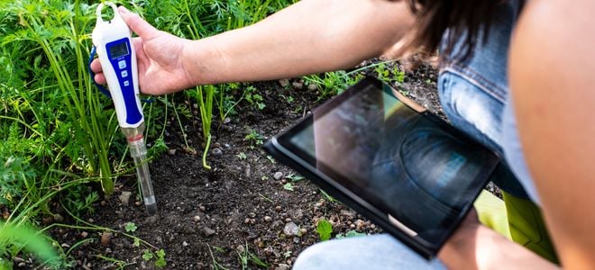 person with tablet computer putting sensor in garden soil