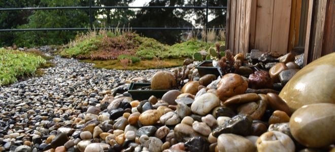 garden in stones