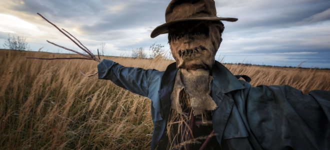 creepy scarecrow in a field with stick hands