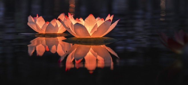 floating flower shaped pool lantern lights