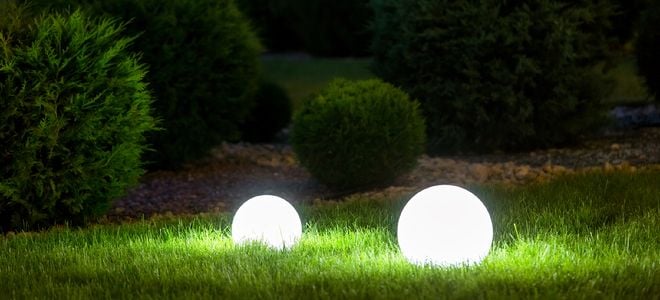 landscape with grass and bushes and sphere lights at night