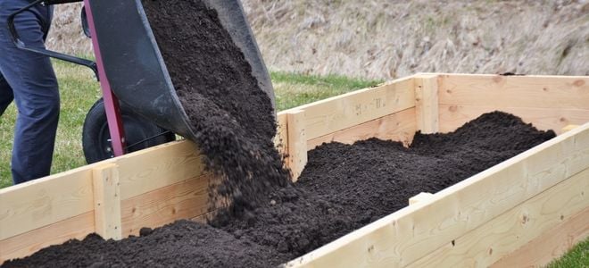 filling a garden box with good dirt for vegetables