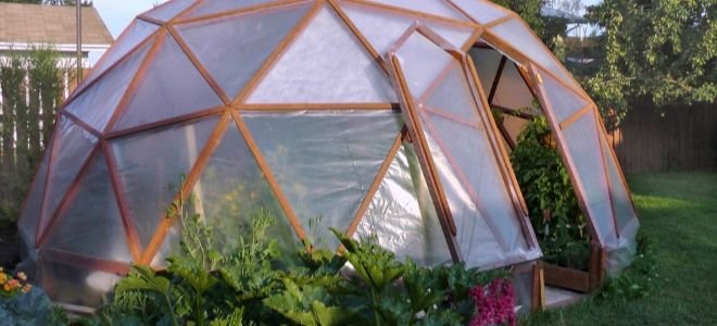 dome greenhouse