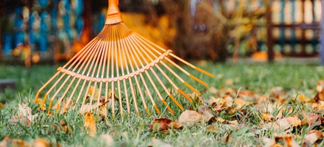 Old Lawn Advice You Shouldn't Follow Anymore | DoItYourself.com