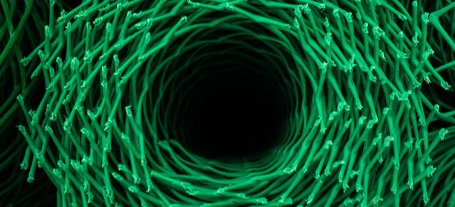 plastic mesh fencing rolled up