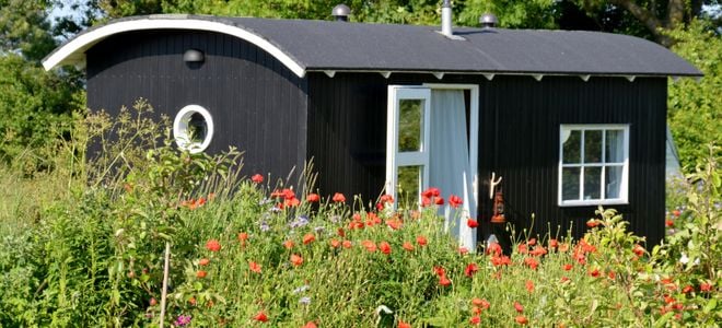 black tiny home surrounded by red poppy flowers