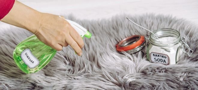 spraying vinegar on a carpet with baking soda for natural cleaning